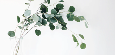 故事為導(dǎo)向的包裝