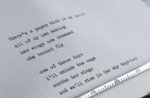 電商品牌vi設計中，標準字設計都有哪些要求？