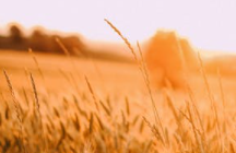 vi品牌視覺(jué)設(shè)計(jì)基本要素系統(tǒng)包含的內(nèi)容有哪些？