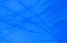 酒店品牌vi設(shè)計中標(biāo)準(zhǔn)色就該這樣確立！